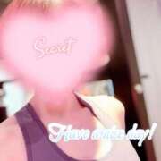 ヒメ日記 2025/02/02 08:02 投稿 蓮華 素人妻達☆マイふぇらレディー