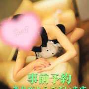 ヒメ日記 2025/02/04 13:01 投稿 蓮華 素人妻達☆マイふぇらレディー