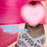 ヒメ日記 2025/02/14 20:00 投稿 蓮華 素人妻達☆マイふぇらレディー