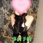 ヒメ日記 2025/02/20 19:45 投稿 蓮華 素人妻達☆マイふぇらレディー