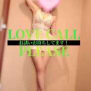 ヒメ日記 2025/02/21 08:30 投稿 蓮華 素人妻達☆マイふぇらレディー