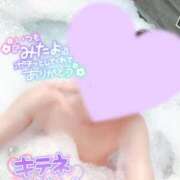 ヒメ日記 2025/02/26 12:31 投稿 蓮華 素人妻達☆マイふぇらレディー