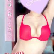 ヒメ日記 2025/02/27 21:00 投稿 蓮華 素人妻達☆マイふぇらレディー