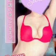 ヒメ日記 2025/03/16 07:30 投稿 蓮華 素人妻達☆マイふぇらレディー