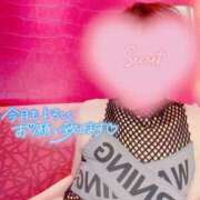 ヒメ日記 2025/04/01 21:30 投稿 蓮華 素人妻達☆マイふぇらレディー