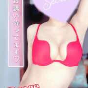 ヒメ日記 2025/04/04 12:31 投稿 蓮華 素人妻達☆マイふぇらレディー