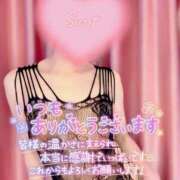 ヒメ日記 2025/04/05 13:01 投稿 蓮華 素人妻達☆マイふぇらレディー