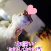 ヒメ日記 2025/04/08 15:15 投稿 蓮華 素人妻達☆マイふぇらレディー