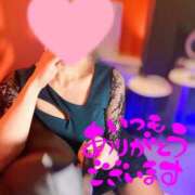 ヒメ日記 2025/04/09 10:02 投稿 蓮華 素人妻達☆マイふぇらレディー