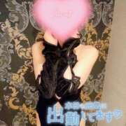 ヒメ日記 2025/04/09 11:45 投稿 蓮華 素人妻達☆マイふぇらレディー