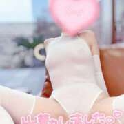 ヒメ日記 2025/04/17 11:45 投稿 蓮華 素人妻達☆マイふぇらレディー