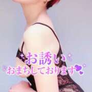 ヒメ日記 2025/04/22 19:00 投稿 蓮華 素人妻達☆マイふぇらレディー