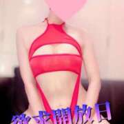 ヒメ日記 2025/05/01 21:05 投稿 蓮華 素人妻達☆マイふぇらレディー