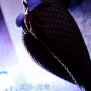 ヒメ日記 2025/05/31 17:00 投稿 蓮華 素人妻達☆マイふぇらレディー