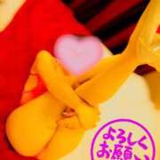 ヒメ日記 2025/07/08 00:01 投稿 蓮華 素人妻達☆マイふぇらレディー