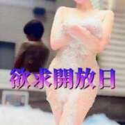 ヒメ日記 2025/07/09 19:00 投稿 蓮華 素人妻達☆マイふぇらレディー