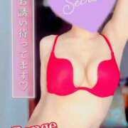 ヒメ日記 2025/07/11 17:01 投稿 蓮華 素人妻達☆マイふぇらレディー