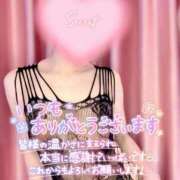 ヒメ日記 2025/07/17 12:00 投稿 蓮華 素人妻達☆マイふぇらレディー