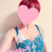 ヒメ日記 2025/09/10 13:15 投稿 蓮華 素人妻達☆マイふぇらレディー