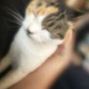 ヒメ日記 2025/08/01 14:46 投稿 ゆな THE ESUTE HOUSE 柴田