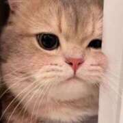 ヒメ日記 2025/09/13 15:46 投稿 ゆな THE ESUTE HOUSE 柴田