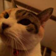 ヒメ日記 2025/11/01 06:56 投稿 ゆな THE ESUTE HOUSE 柴田