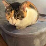 ヒメ日記 2025/11/02 10:06 投稿 ゆな THE ESUTE HOUSE 柴田