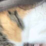 ヒメ日記 2025/11/29 17:28 投稿 ゆな THE ESUTE HOUSE 柴田