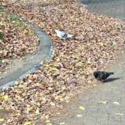 ヒメ日記 2025/12/05 16:32 投稿 ゆな THE ESUTE HOUSE 柴田