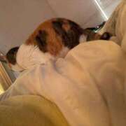 ヒメ日記 2026/02/22 09:46 投稿 ゆな THE ESUTE HOUSE 柴田