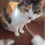 ヒメ日記 2026/03/19 16:26 投稿 ゆな THE ESUTE HOUSE 柴田