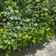 ヒメ日記 2026/04/08 13:46 投稿 ゆな THE ESUTE HOUSE 柴田