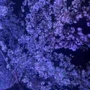 ヒメ日記 2026/04/10 08:56 投稿 ゆな THE ESUTE HOUSE 柴田
