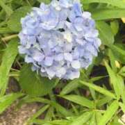 ヒメ日記 2026/06/09 12:25 投稿 ゆな THE ESUTE HOUSE 柴田