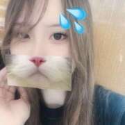 ヒメ日記 2025/06/14 11:15 投稿 あゆな【梅田堂山女学院】 梅田堂山女学院