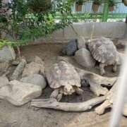 ヒメ日記 2025/10/03 17:56 投稿 あゆな【梅田堂山女学院】 梅田堂山女学院