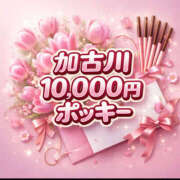 ヒメ日記 2026/03/15 17:18 投稿 トルコ 加古川10,000円ポッキー