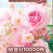 ヒメ日記 2026/03/17 09:27 投稿 トルコ 加古川10,000円ポッキー