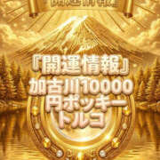 ヒメ日記 2026/03/27 12:40 投稿 トルコ 加古川10,000円ポッキー