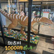 ヒメ日記 2026/03/28 10:51 投稿 トルコ 加古川10,000円ポッキー
