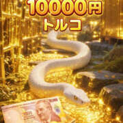 ヒメ日記 2026/04/16 11:30 投稿 トルコ 加古川10,000円ポッキー