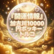 ヒメ日記 2026/04/23 11:10 投稿 トルコ 加古川10,000円ポッキー