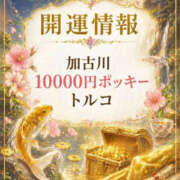 ヒメ日記 2026/05/01 11:30 投稿 トルコ 加古川10,000円ポッキー