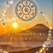 ヒメ日記 2026/05/05 11:50 投稿 トルコ 加古川10,000円ポッキー