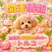 ヒメ日記 2026/06/22 11:20 投稿 トルコ 加古川10,000円ポッキー