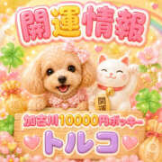 ヒメ日記 2026/07/13 11:20 投稿 トルコ 加古川10,000円ポッキー