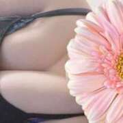 ヒメ日記 2025/07/26 11:04 投稿 なつみ 谷町豊満奉仕倶楽部