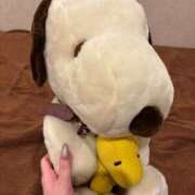 ヒメ日記 2025/06/14 09:22 投稿 いと Evolution 2nd