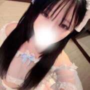 ヒメ日記 2025/11/30 11:56 投稿 いと Evolution 2nd