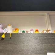 ヒメ日記 2026/02/08 06:22 投稿 いと Evolution 2nd